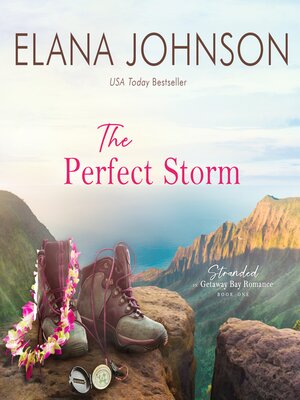 cover image of The Perfect Storm